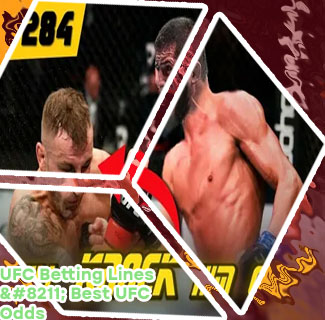 Next ufc odds