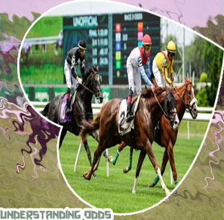 Understanding horse racing odds